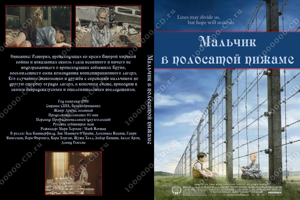 Мальчик в полосатой пижаме эссе 8866